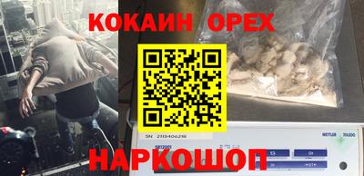 спиды Владимир